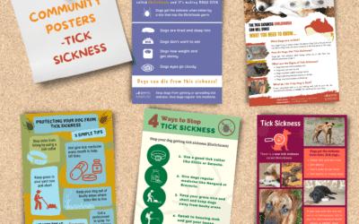 Ehrlichiosis Posters