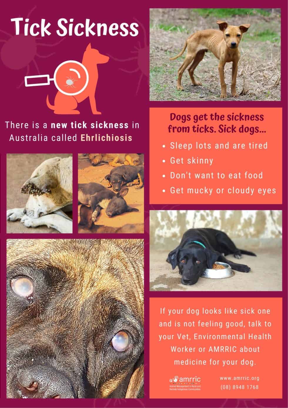 Tick Sickness- Ehrlichiosis Poster - AMRRIC