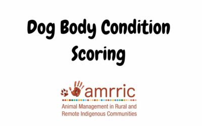 Body Condition Score, Skin Scores, and Tick Scores