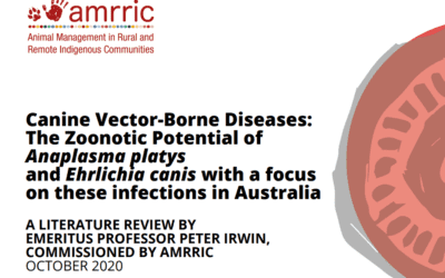 Canine Vector-Borne Diseases: The Zoonotic Potential of Anaplasma platys and Ehrlichia canis with a focus on these infections in Australia – a scientific literature review