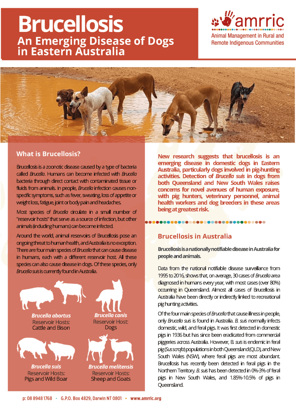 Brucellosis Update – September 2022 - AMRRIC