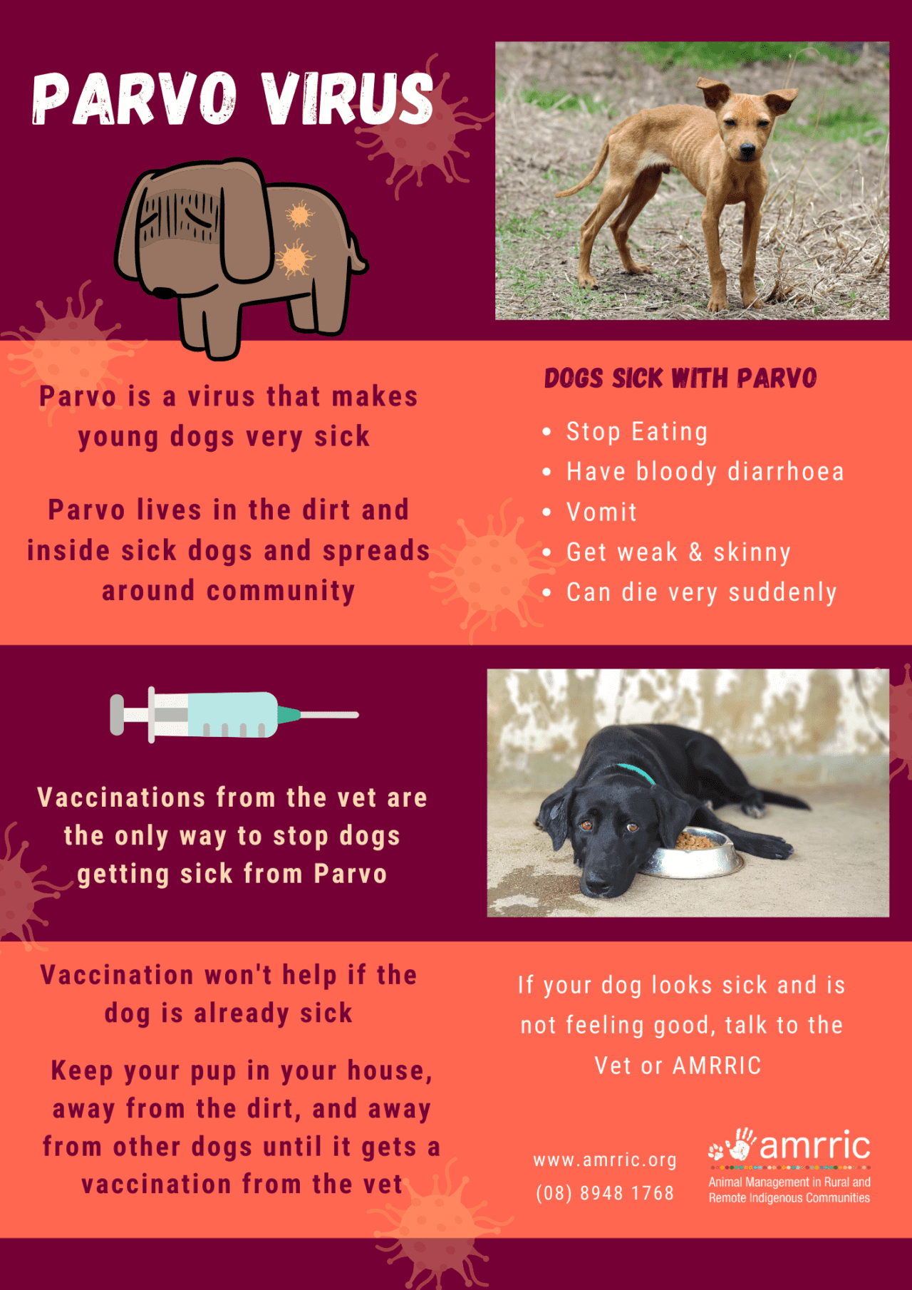 Parvo Virus Community Education Resources AMRRIC   Parvovirus Poster 1280x1810 